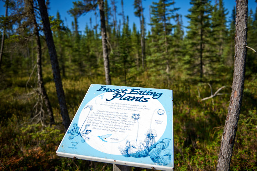 Fen Lake trail sign, Blue Lake