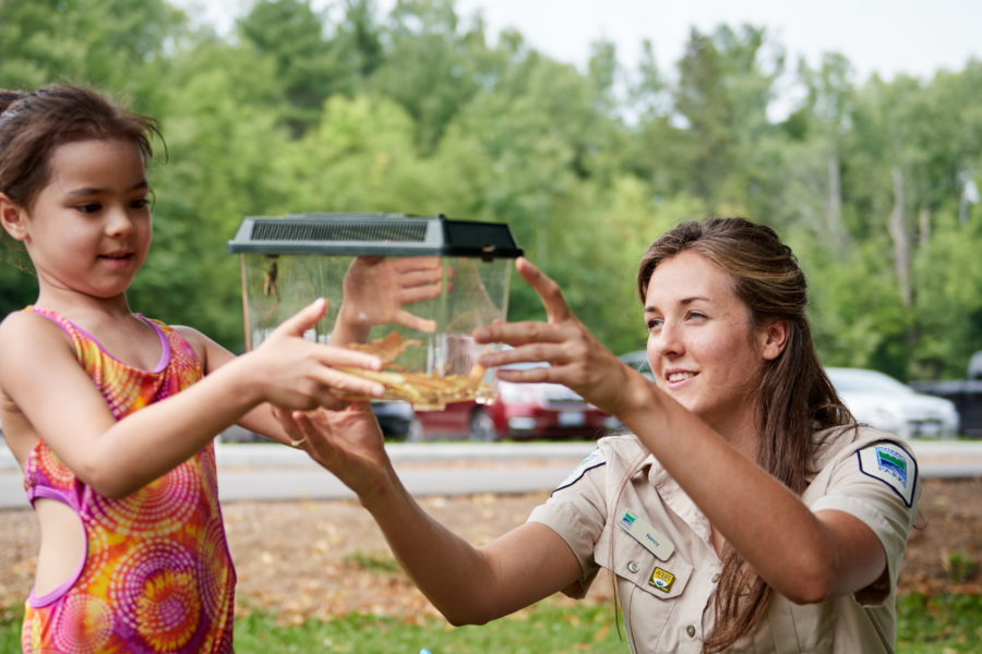 Discovery Guide staff member exploring the findings of a visitor during the incredible insects program.