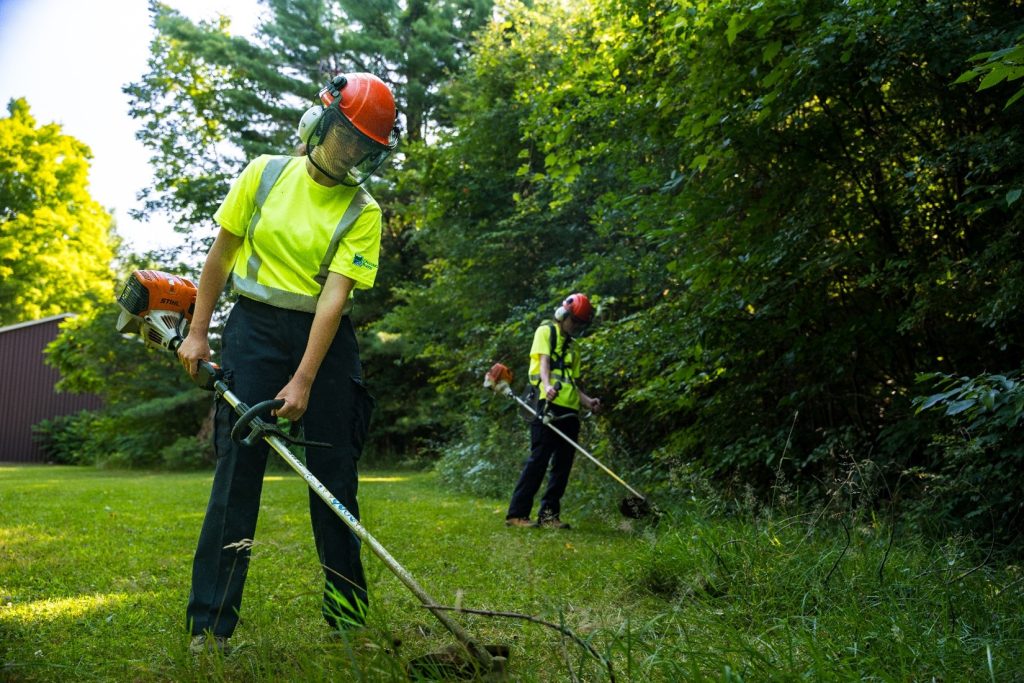 Two maintenance workers in hi-vis shirts whipper-snipping the grass