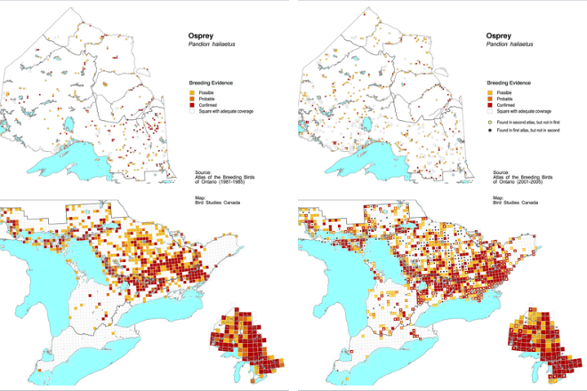 maps of osprey sightings, 1985 vs 2005