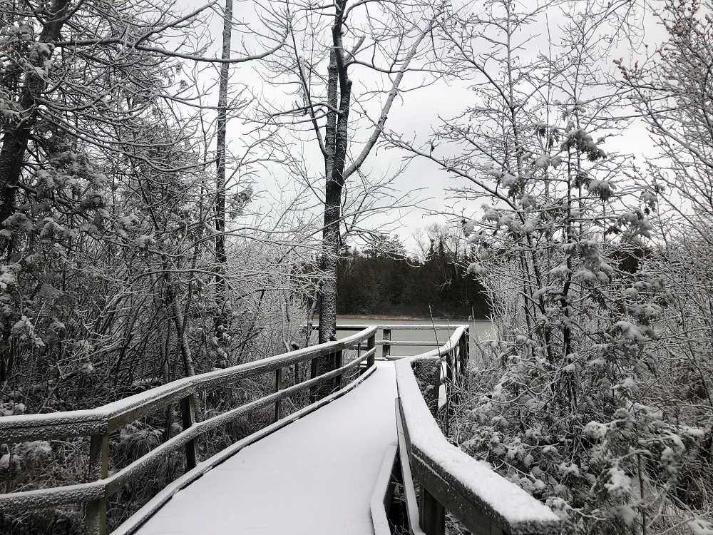 snow-covered boardwalk