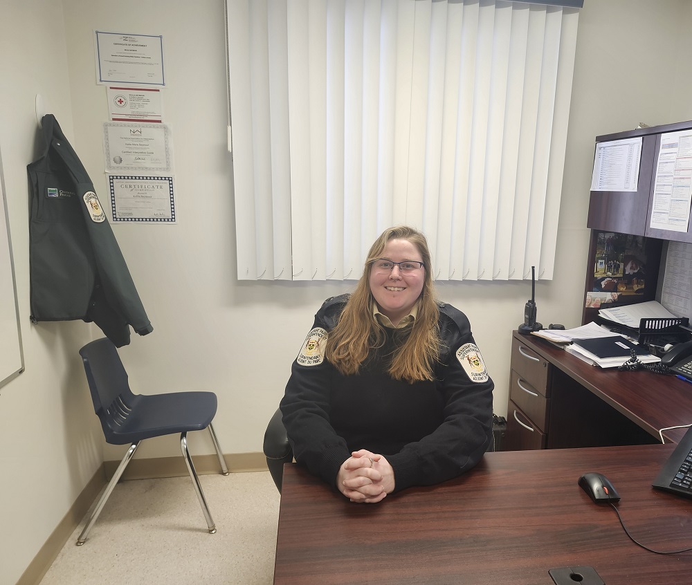 staff sitting at desk