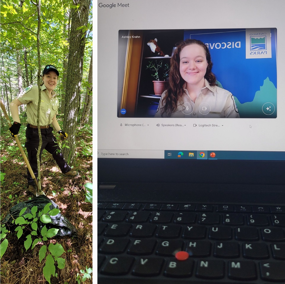 collage of staff working outside, on computer screen presenting