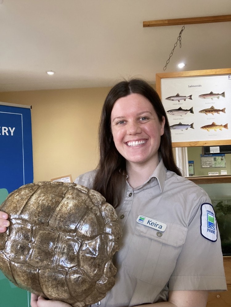 staff holding turtle shell