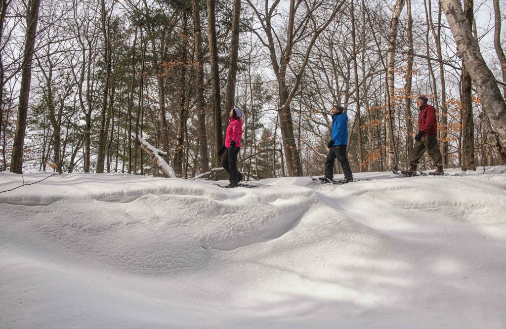 group snowshoeing through forest