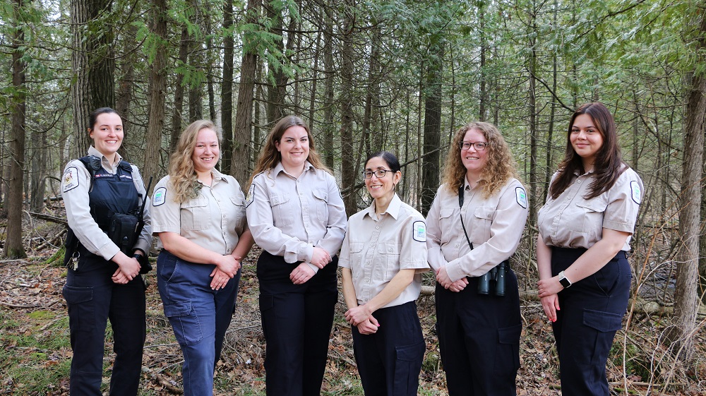 staff standing together in forest