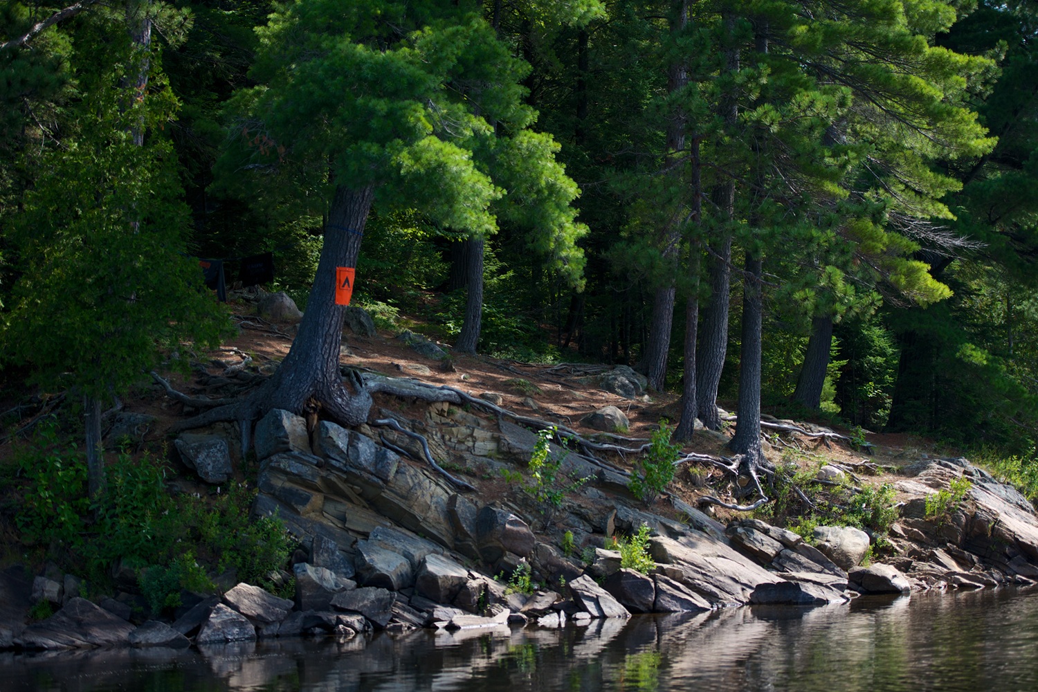 backcountry site