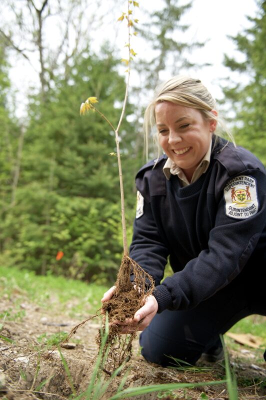 Staff smiles while planting seedling