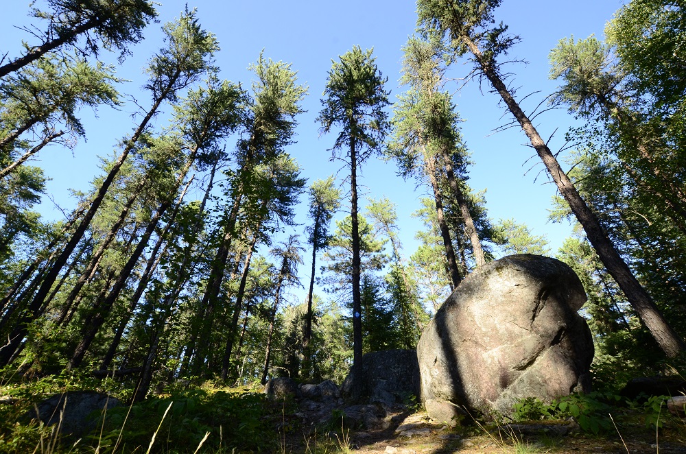 Boulder Ridge Trail, 