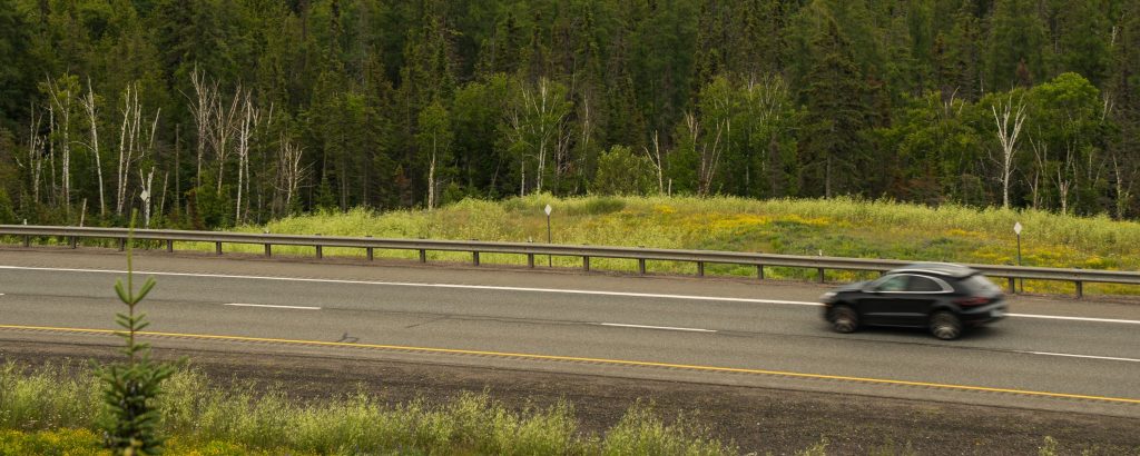 car driving down highway, forest on both sides