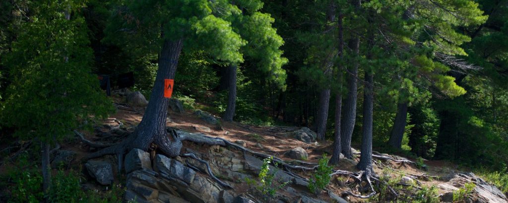 backcountry site