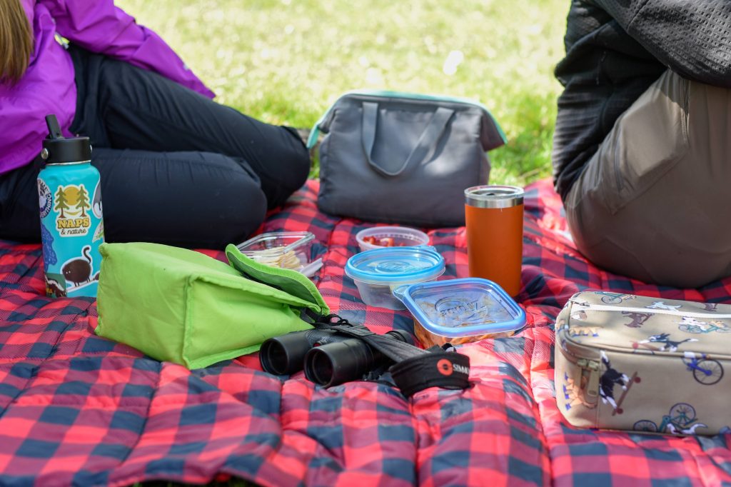 Close up of reusable containers and water bottles on picnic blanket