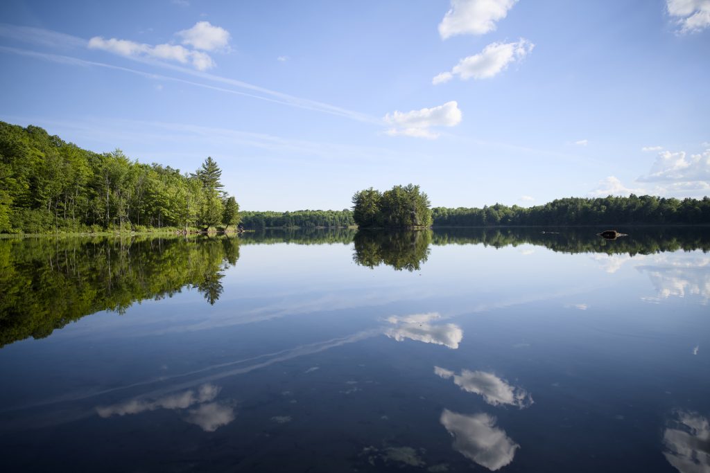 View of calm lake on a sunny day