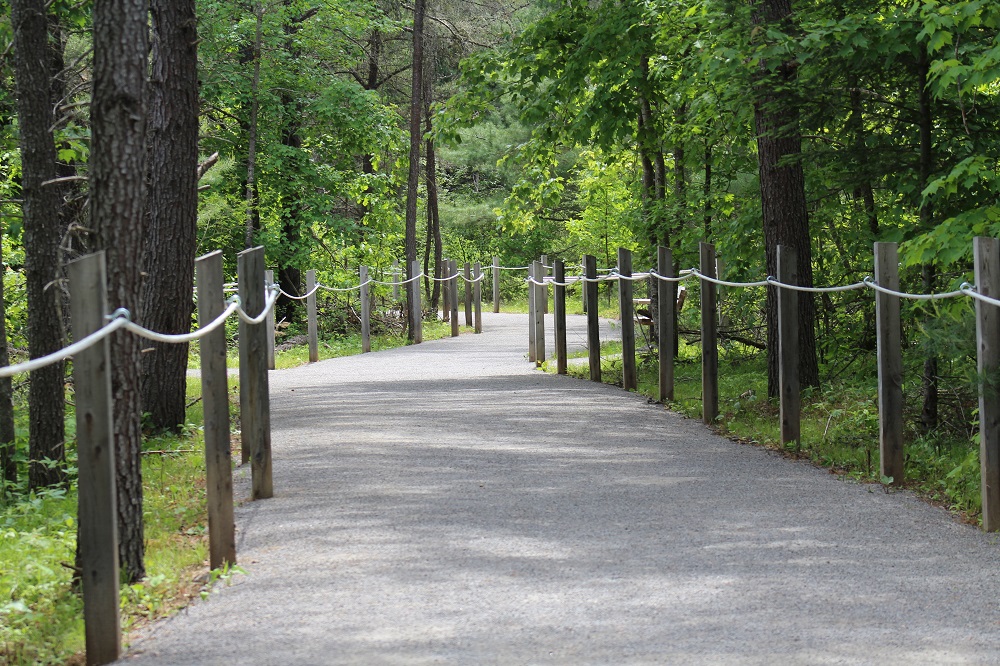 trail through park