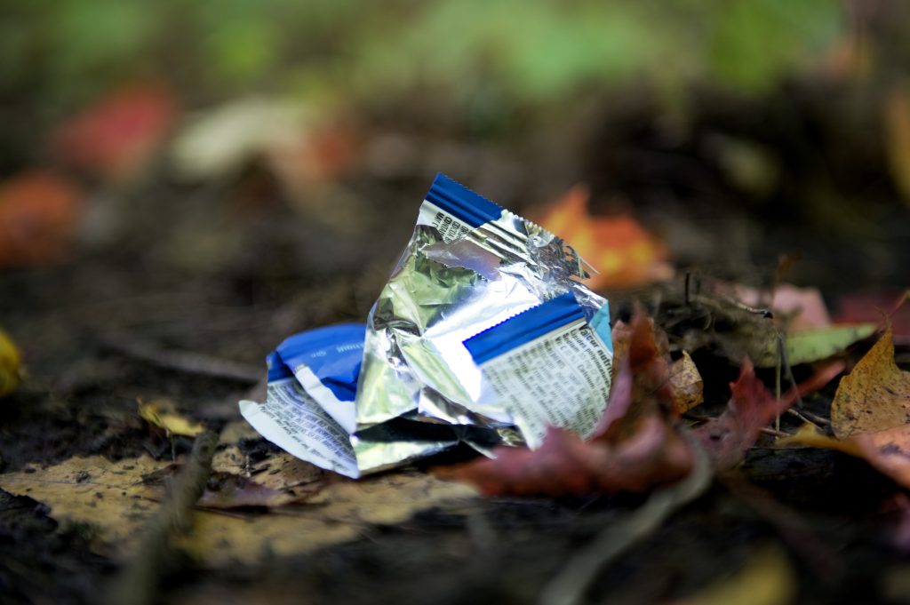 Closeup of litter in the forest