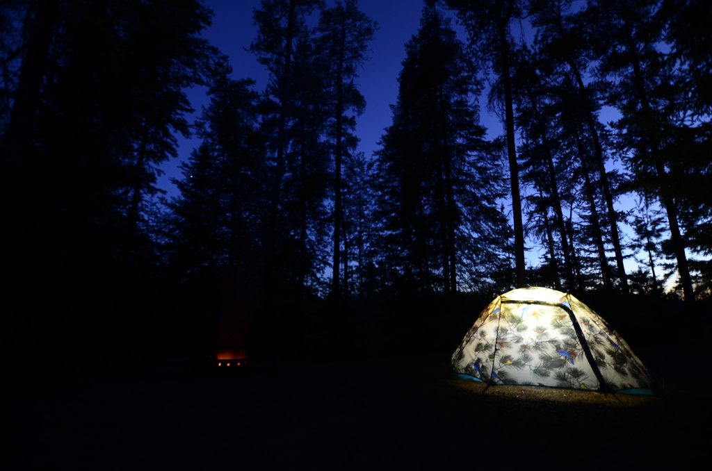 Glowing tent at night with trees in the background