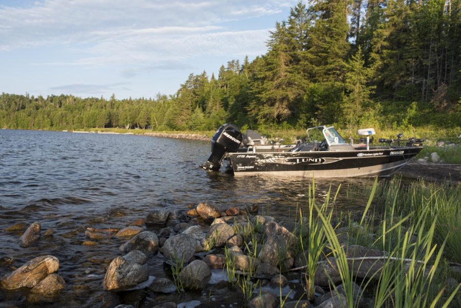 Motor boat docked on a shore on a sunny afternoon