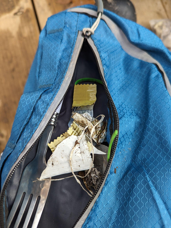 Dog backpack with garbage stored in the pocket
