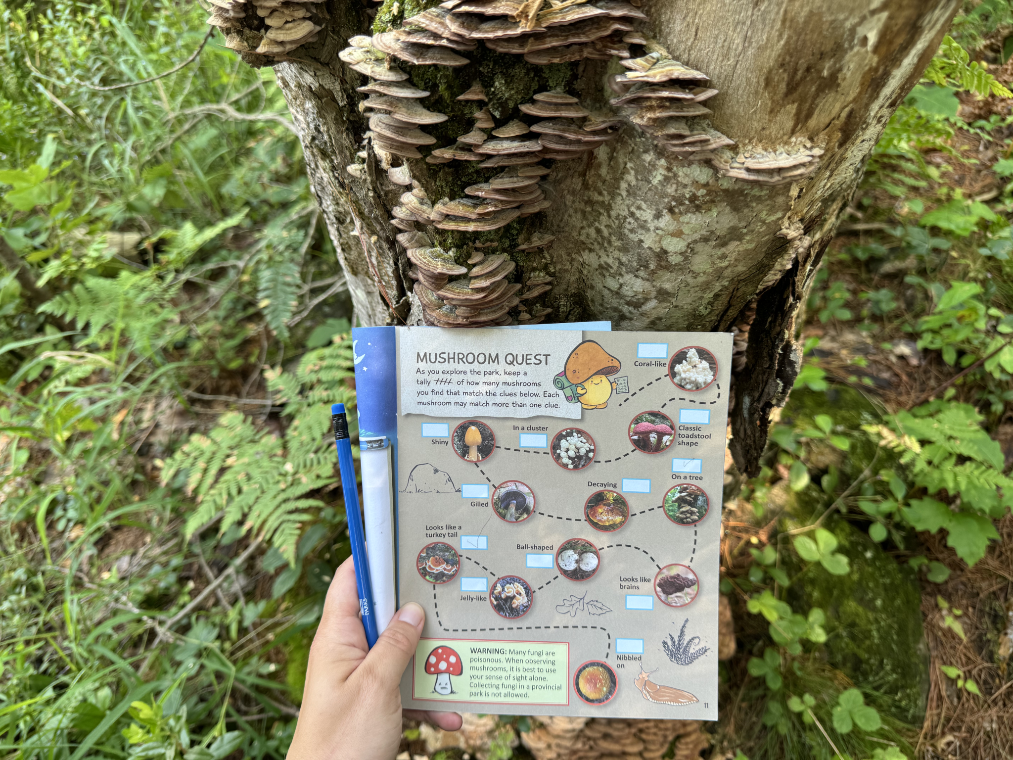 Your next adventure companion: the Discovery Activity Book - Ontario ...