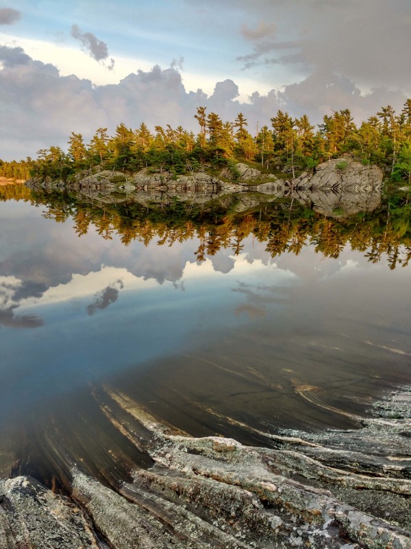 The Massasauga landscape