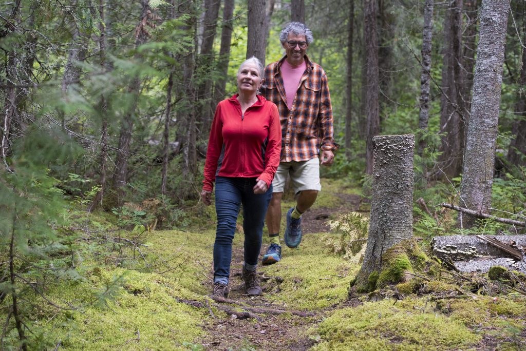 two people walking on trail through forest