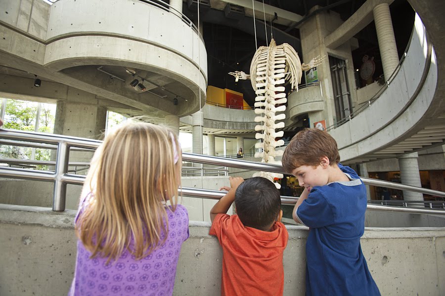 children looking at exhibit