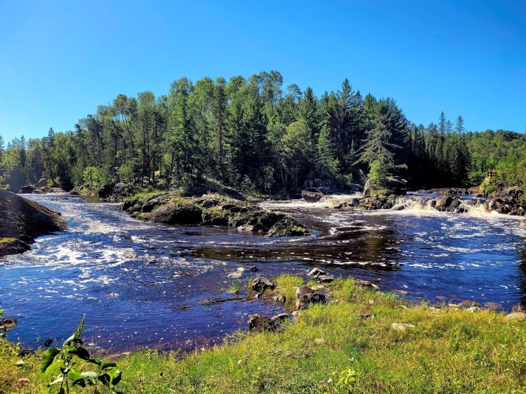 River running in front of forest