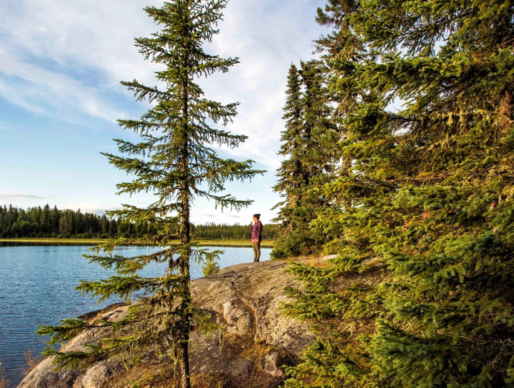 person standing on large rocky shore, looking out to lake. Evergreen trees in foreground
