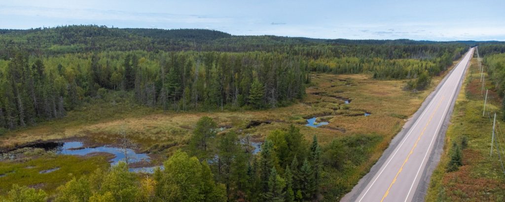 aerial footage of road through park