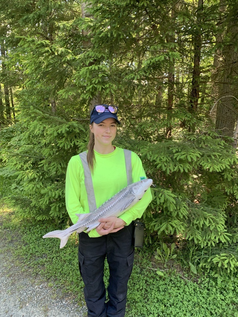 Emily wearing high vis, holding sturgeon plushie