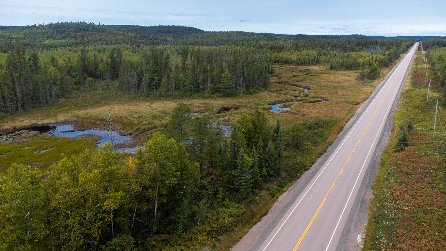 aerial footage of road through park