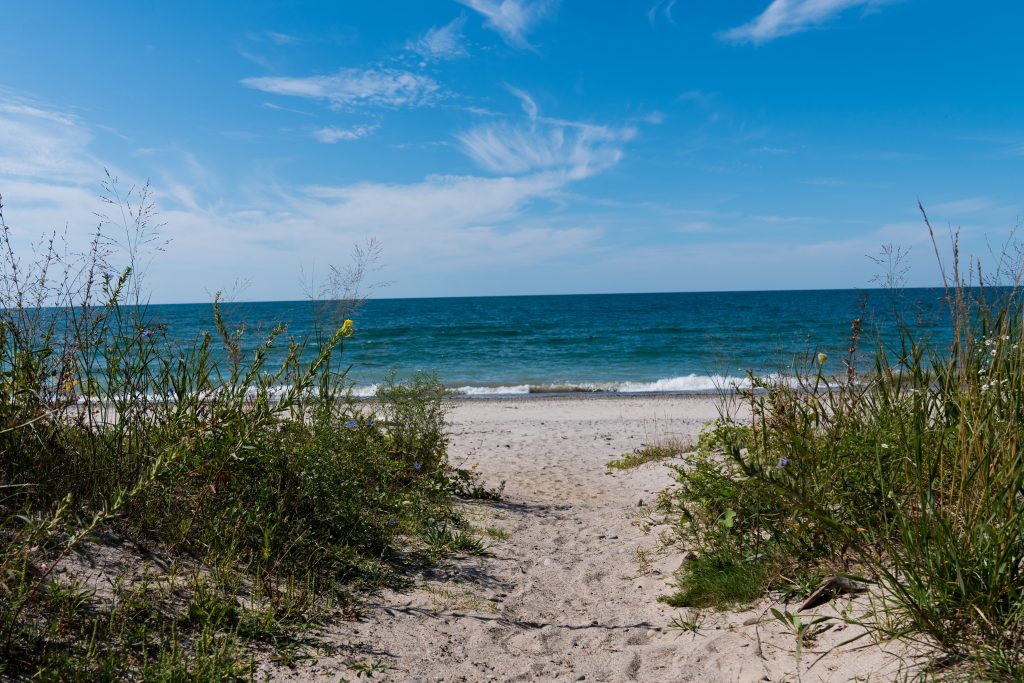 sandy trail toward beach with blue sky and water