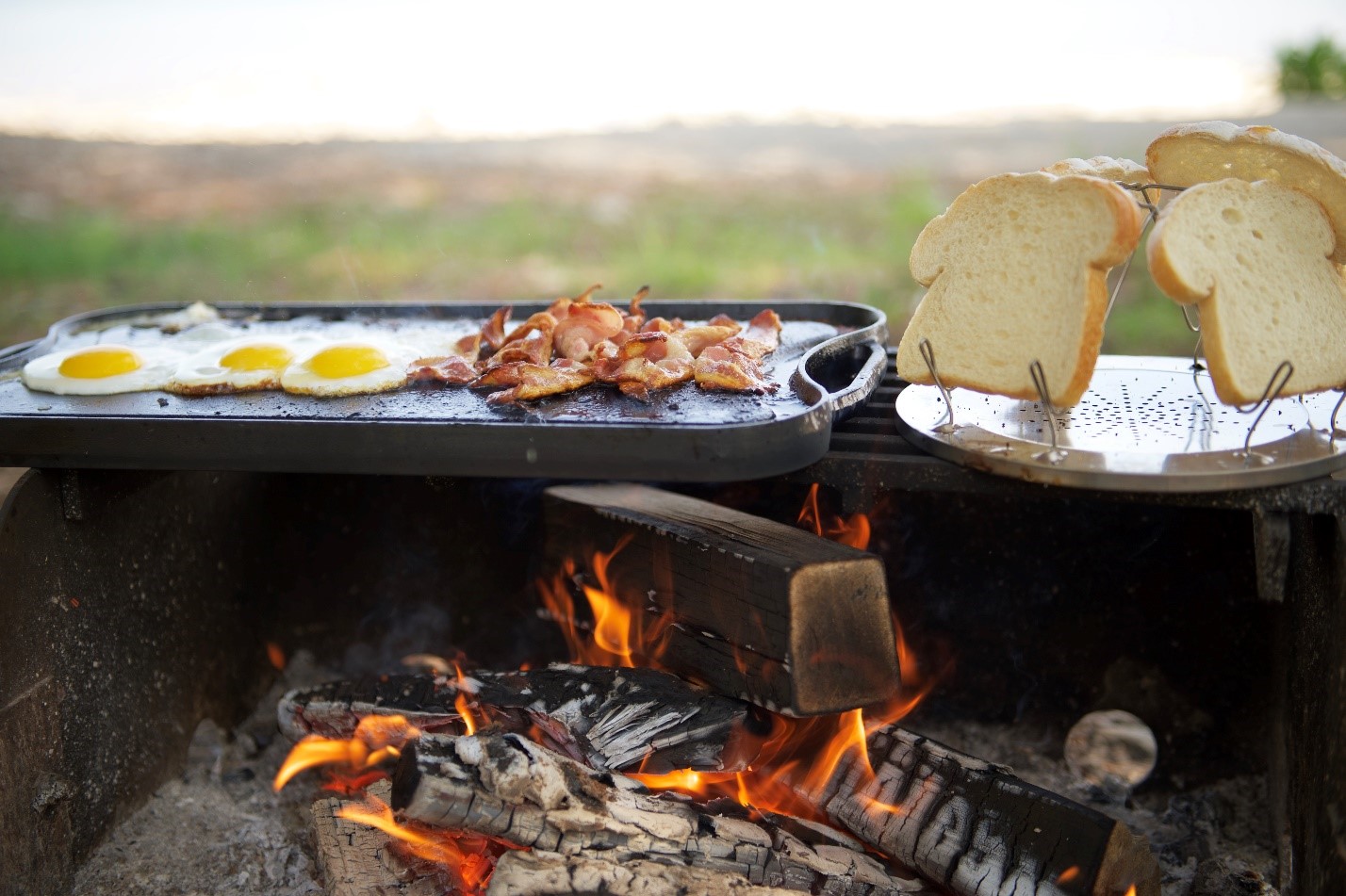 food cooking over campfire