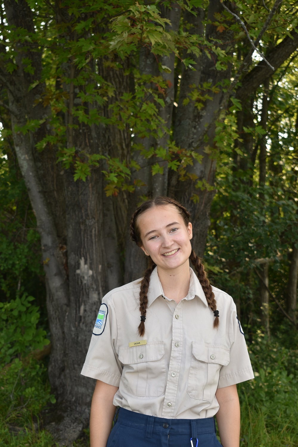 staff standing against tree