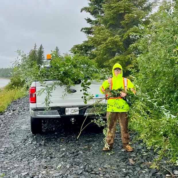 staff wearing high vis, holding vegetation