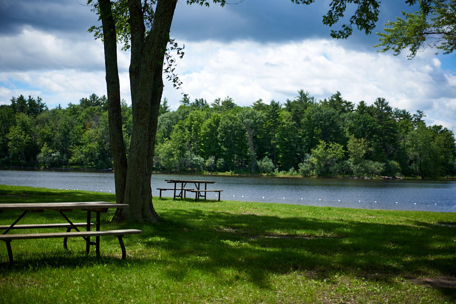 Picnic tables in the day use area, 