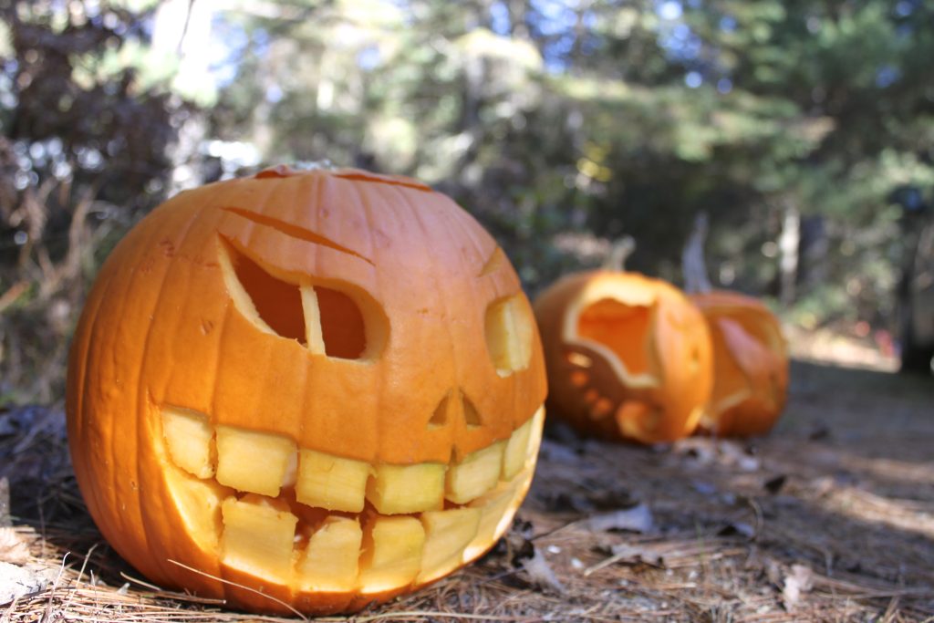 citrouilles sculptées placées à l’extérieur