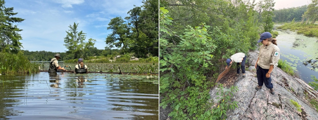 Montage de deux photos du personnel travaillant dans un lac et à côté de celui-ci