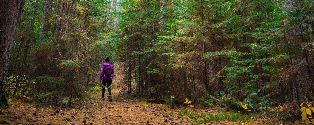 Person walking on a trail through a fall forest.