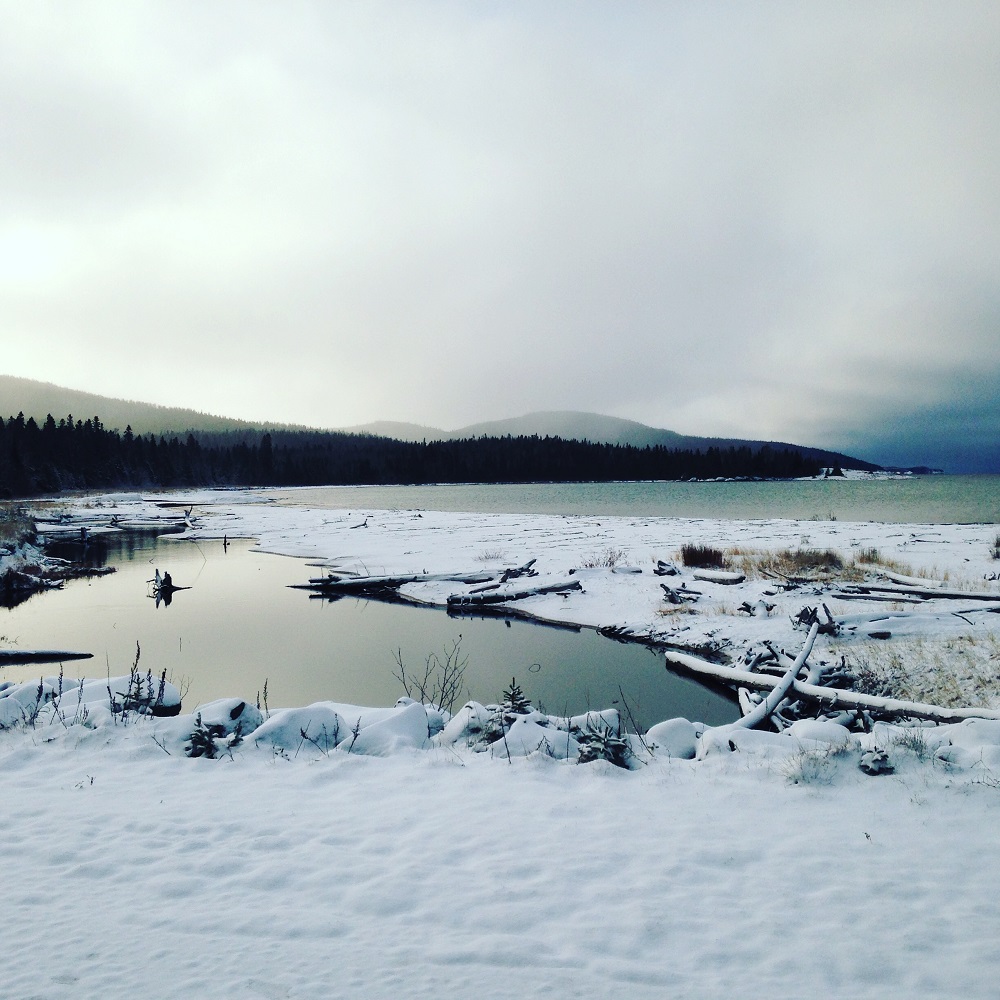 snowy beach