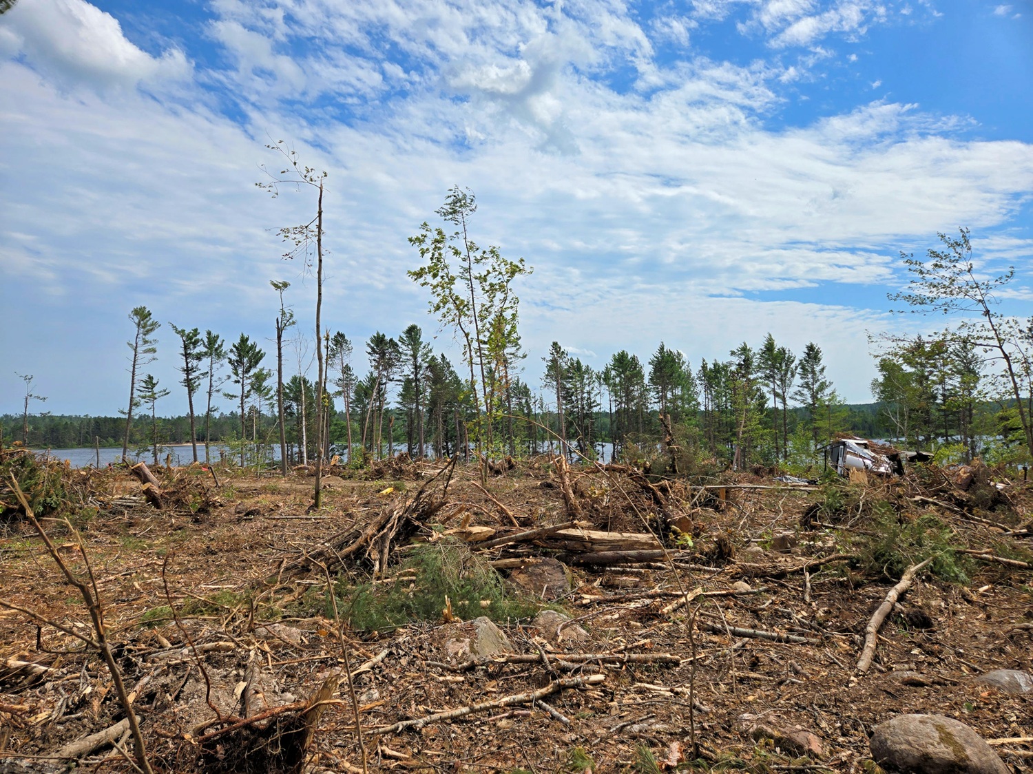 Campground covered in downed trees and woodchips, looking out toward lake