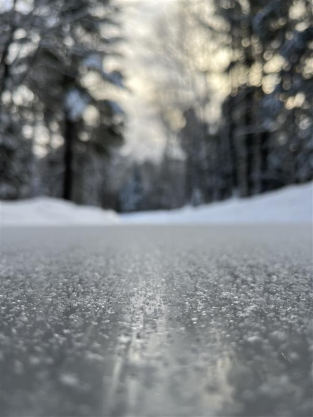 close-up of ice trail in forest