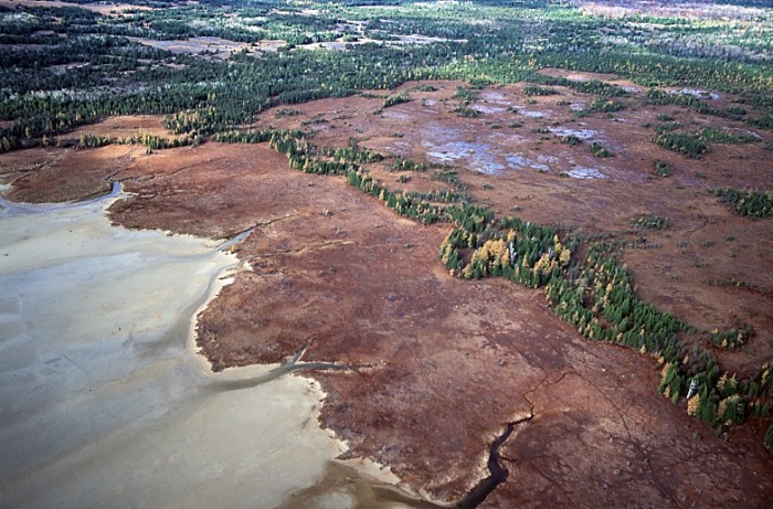 Misery BayWetland aerial 