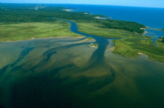 Mississagi_Delta_Marsh