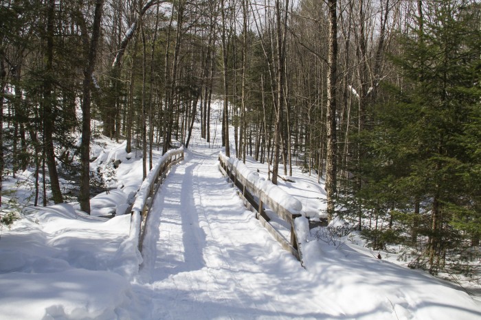 Silent Lake bridge crossing