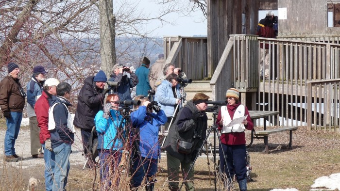 Volunteers helping visitors see ducks at Presqu'ile Waterfowl Weekend