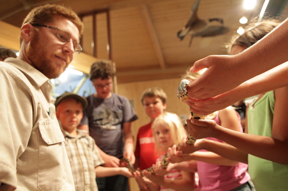 Rondeau staff with snake