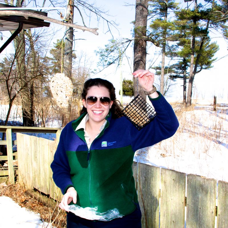 Rondeau staff with feeder