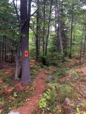 backcountry trail