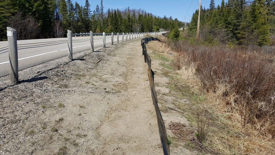 turtle fencing